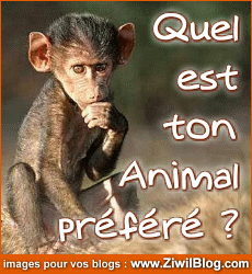 aimer les animaux